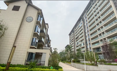 仁中风华装修进度第②期