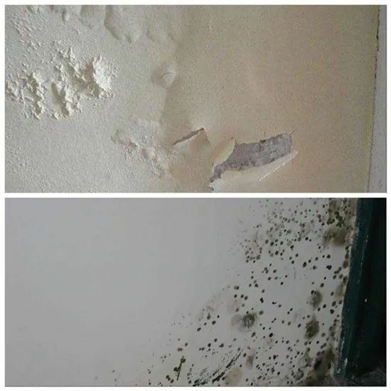 墙面装修的这十道工序做到位！受潮、发霉不存在的